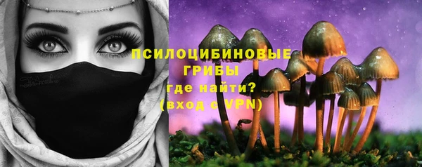 mdpv Магадан