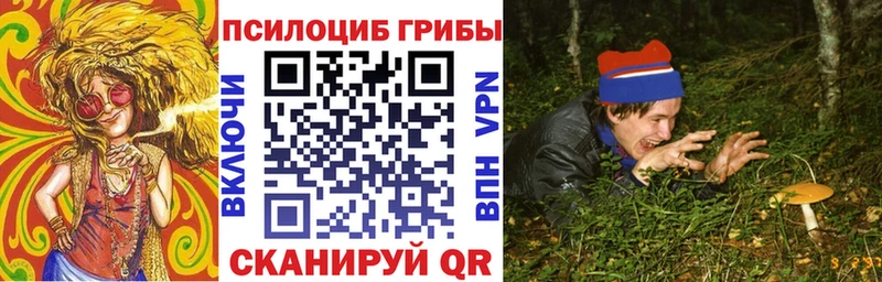 Купить  Семилуки  Галлюциногенные грибы GOLDEN TEACHER 